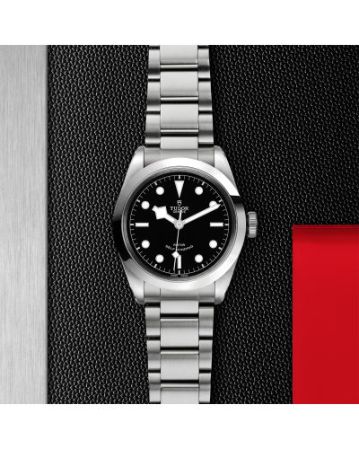 Tudor Black Bay 32/36/41 - 41 mm steel case, Steel bracelet (watches)